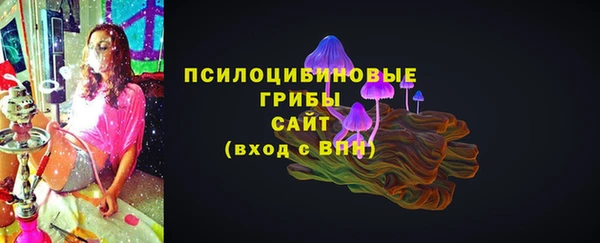 мдпв Богданович