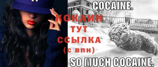 Альфа ПВП Снежинск