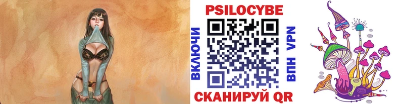 Галлюциногенные грибы Psilocybe  Судак 